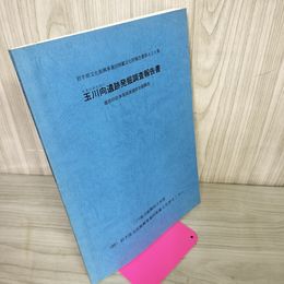1_　岩手県文化振興事業団埋蔵文化財報告書第426集 玉川向遺跡発掘調査報告書 280093