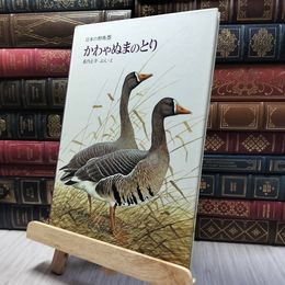 8_    日本の野鳥5 かわやぬまのとり 福音館書店 020230