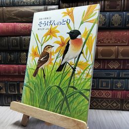 8_    日本の野鳥2 そうげんのとり 福音館書店 020250