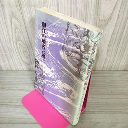 1_　胆江の地名と風土 阿部和夫・佐藤英男・宍戸敦  蔵書印有 岩手県 東磐井郡 西磐井郡 250088