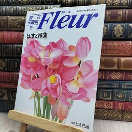 8_  週刊花百科 Fleur フルール No.15 190260
