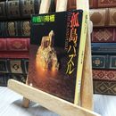 8_  孤島パズル (創元推理文庫―現代日本推理小説叢書) (創元推理文庫 M あ 2-2) 有栖川有栖 100394