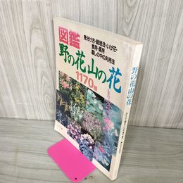 1_　図鑑 野の花山の花 1170種 見分け方・栽培法・いけ花・食用・薬用 暮しの中の利用法  折れ目多数あり 250072