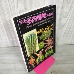 1_　原色多肉植物写真集 日本多肉植物の会編 250010