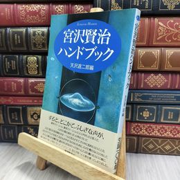 8_  宮沢賢治ハンドブック  天沢退二郎 280079