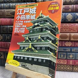 8_  よみがえる日本の城 (2) 江戸城・小田原城・八王子城・佐倉城・大喜多城石垣山一夜城  100282