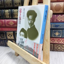 8_  遠き落日(上) (角川文庫) 渡辺淳一 100092