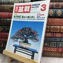 8_  月刊 近代盆栽 2009年 3月号 377号 ヤケ シミあり 220078