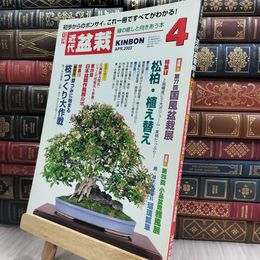 8_  月刊 近代盆栽 2003年 4月号 306号 ヤケ シミあり 220484