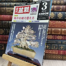8_  月刊 近代盆栽 2012年 3月号 413号 ヤケ シミあり 220068