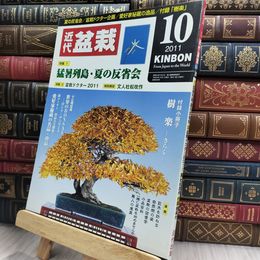 8_  月刊 近代盆栽 2011年 10月号 408号 ヤケ シミあり 220018