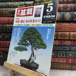 8_  月刊 近代盆栽 2011年 5月号 403号 ヤケ シミあり 220075