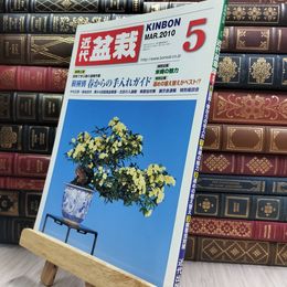 8_  月刊 近代盆栽 2010年 5月号 391号 ヤケ シミあり 220497