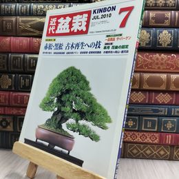 8_  月刊 近代盆栽 2010年 7月号 393号 ヤケ シミあり 220336