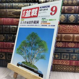 8_  月刊 近代盆栽 2010年 9月号 395号 ヤケ シミあり 220496