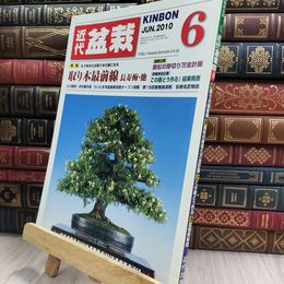 8_  月刊 近代盆栽 2010年 6月号 392号 ヤケ シミあり 220077