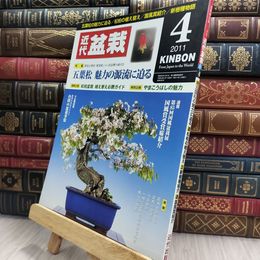 8_  月刊 近代盆栽 2011年 4月号 402号 ヤケ シミあり 220074