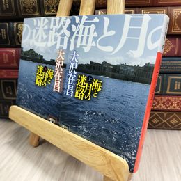 8_  海と月の迷路　大沢在昌　上下巻セット　文庫本 150450