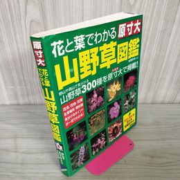 1_　花と葉でわかる 原寸大 山野草図鑑 高橋良孝 070085