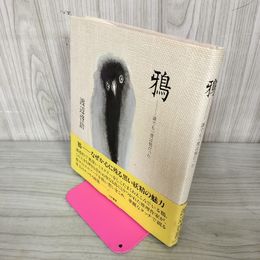 1_　鴉 誰でも一度は鴉だった 渡辺啓助 初版 帯付 080089