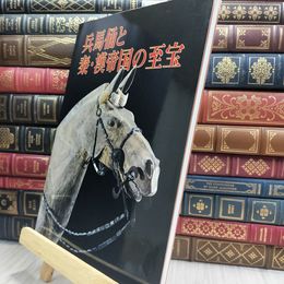 8_  兵馬俑と秦 漢帝国の至宝 岐阜市歴史博物館 180026