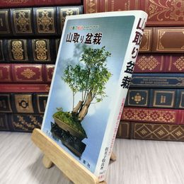 8_  山取り盆栽 真名子敬良 210320
