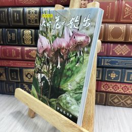 8_  大山 花の散歩 伊田弘實 280113