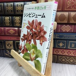 8_  NHK趣味の園芸 作業12か月 7 シンビジューム 280257