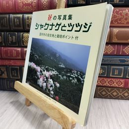 8_  シャクナゲ 花の写真集　シャクナゲとツツジ 280230