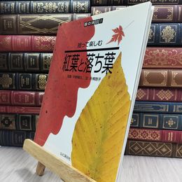 8_  拾って楽しむ紅葉と落ち葉 (森の休日) (森の休日 1) 平野隆久、片桐啓子 010308
