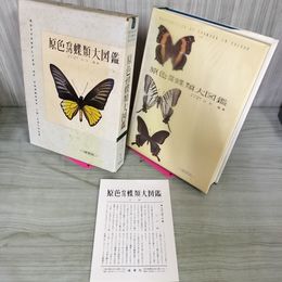 1_　原色台湾蝶類大図鑑 白水隆 090080