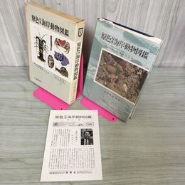 1_　原色日本海岸動物図鑑 改訂新版 内海冨士夫著  090096