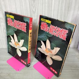 1_　学習図鑑シリーズ27 植物の観察図鑑 亘理俊次 昭和43年 1968年 カビ臭有 110051