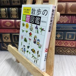 8_  子どもに教えてあげられる 散歩の草花図鑑 (ビジュアルだいわ文庫) 岩槻秀明 090307