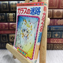8_  難あり ガラスの迷路　竹宮惠子 フラワーコミックス ヤケ・シミあり 110356
