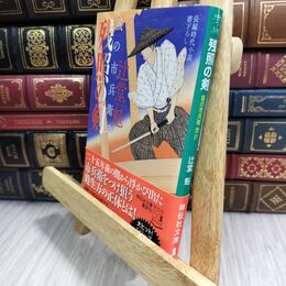 8_  残照の剣 風の市兵衛 弐 (祥伝社文庫) 辻堂魁 110488