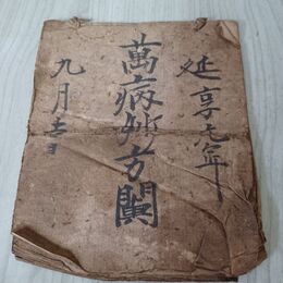 1_　写本 萬病妙方蘭 延享元年 万病妙方蘭 写真のページが全てです 140066