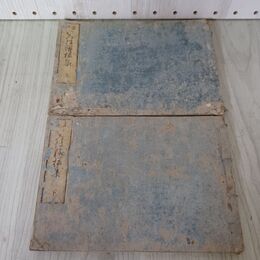 1_　2冊セット 當世 いろは絵様集 上巻 下巻 当世 天保5年 江戸書林 奴長兵衛蔵版 鈴木栄次郎 絵入り デザイン 140072