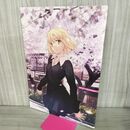 1_　Rubicon Hearts 京都、春。 武内崇 小林尽 300098