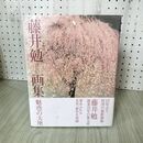 1_　藤井勉 画集 魅惑の大地 金の星社 110053