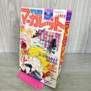 1_　月刊 別冊 マーガレット 1980年 昭和55年 9月号 佐伯律子 090025