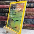 8_  ナショナルジオグラフィック日本版 NATIONALGEOGRAPHIC 1997年11月号 110452