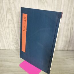 1_　書学大系 碑法帖篇 第21巻 龍門二十品 2 同朋舎 1984年 昭和59年 初版 260133