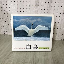 1_　若本俊雄写真集 白鳥 生命の讃歌 270113