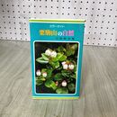 1_　カラーガイド 栗駒山の自然 小岩勲夫 060108