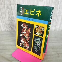 1_　原色エビネ 高橋勝雄 家の光協会 090013