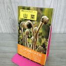 1_　野外ハンドブック1 山菜 木原浩 山口昭彦 山と溪谷社 090014