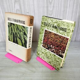 1_　原色日本羊歯植物図鑑 田川基二 保育社 270076