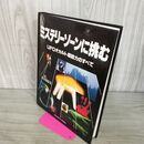 1_　ミステリーゾーンに挑む UFOオカルト超能力のすべて 280055