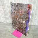 1_　安全地帯 ツアーパンフレット コンサートツアー エンドレス 1984年 ENDLESS 050047